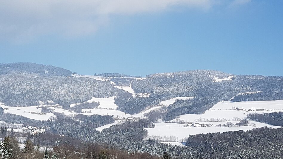 Winter Hiking Winter hiking via Pöllau and Pöllauberg , RETTER Pöllauberg - Touren-Impression #2.5 | © Oststeiermark Tourismus