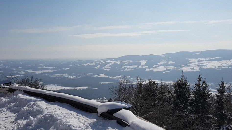 Winter Hiking Winter hiking via Pöllau and Pöllauberg , RETTER Pöllauberg - Touren-Impression #2.7 | © Oststeiermark Tourismus