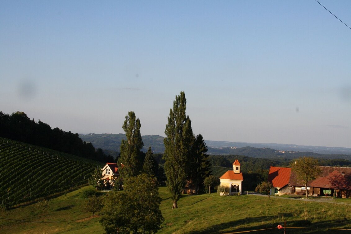 Hiking route Großkleiner Harmonieweg Nr. 14 Variante a - Touren-Impression #1 | © Südsteiermark