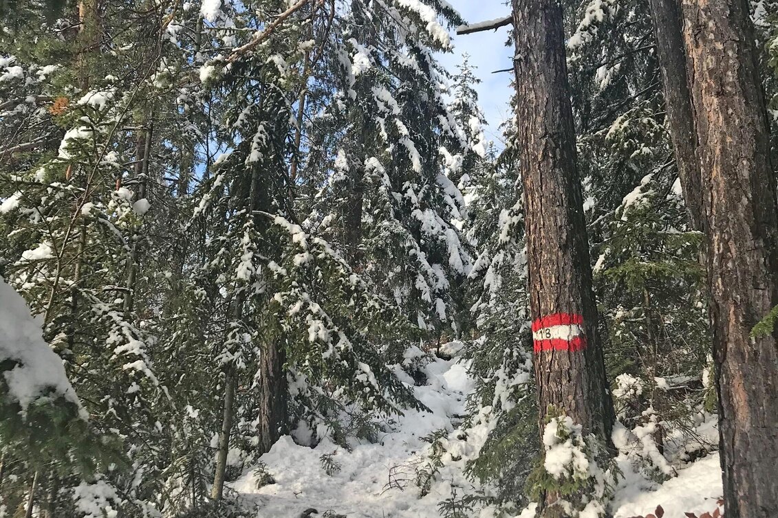 Winter Hiking Winter Hike Gösser and Lärchsattel - Touren-Impression #1 | © Oststeiermark Tourismus