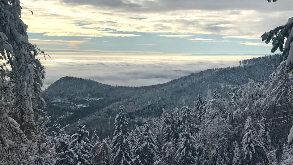 Winter Hiking Winter Hike Gösser and Lärchsattel - Touren-Impression #2.2 | © Oststeiermark Tourismus