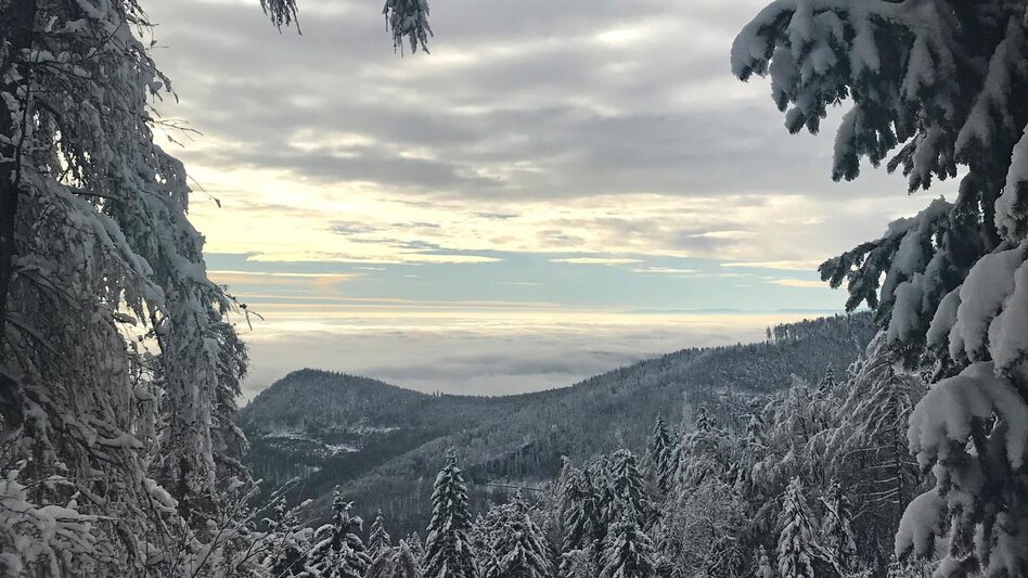 Winter Hiking Winter Hike Gösser and Lärchsattel - Touren-Impression #2.3 | © Oststeiermark Tourismus