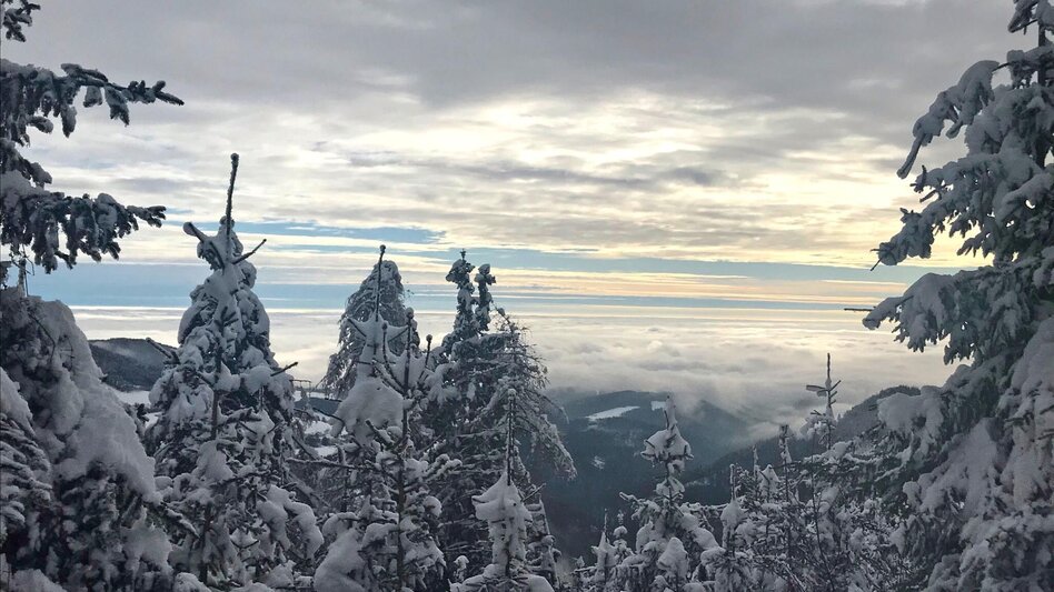 Winter Hiking Winter Hike Gösser and Lärchsattel - Touren-Impression #2.4 | © Oststeiermark Tourismus
