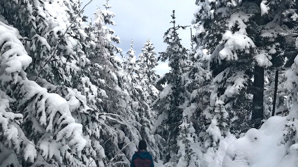 Winter Hiking Winter Hike Gösser and Lärchsattel - Touren-Impression #2.5 | © Oststeiermark Tourismus