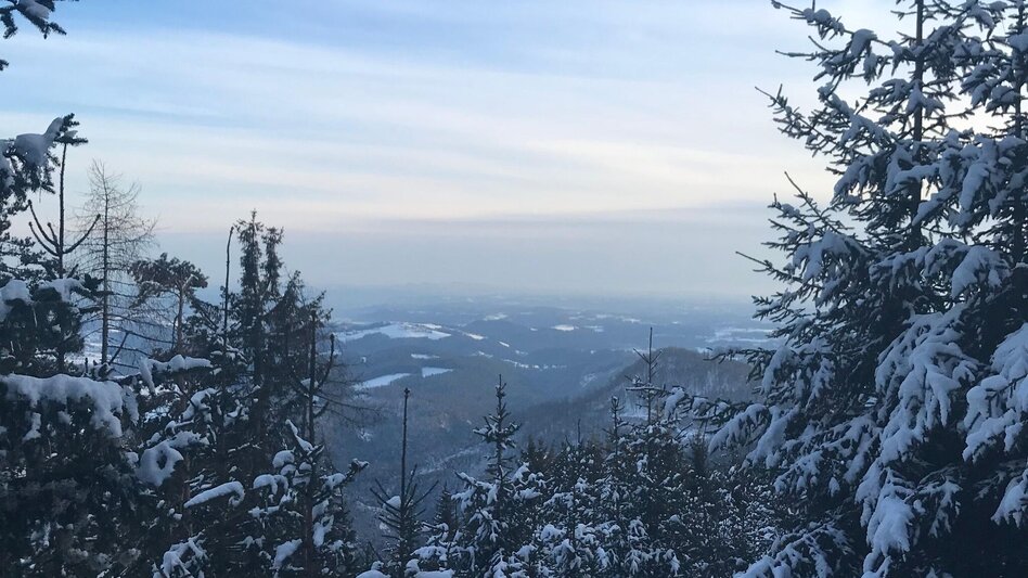 Winter Hiking Winter Hike Gösser and Lärchsattel - Touren-Impression #2.6 | © Oststeiermark Tourismus