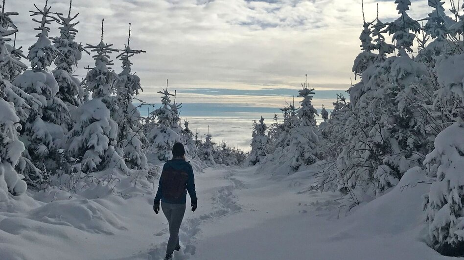 Winter Hiking Winter Hike Gösser and Lärchsattel - Touren-Impression #2.7 | © Oststeiermark Tourismus