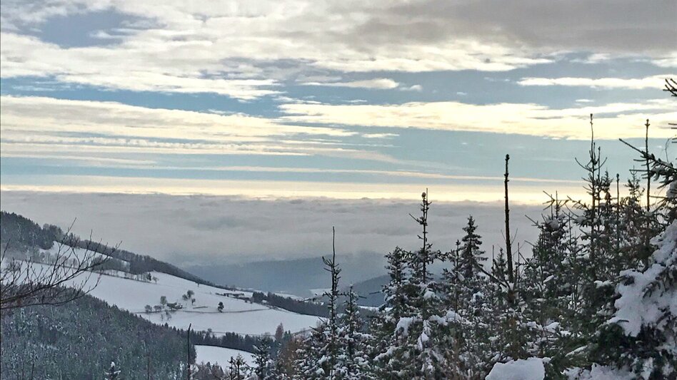 Winter Hiking Winter Hike Gösser and Lärchsattel - Touren-Impression #2.8 | © Oststeiermark Tourismus