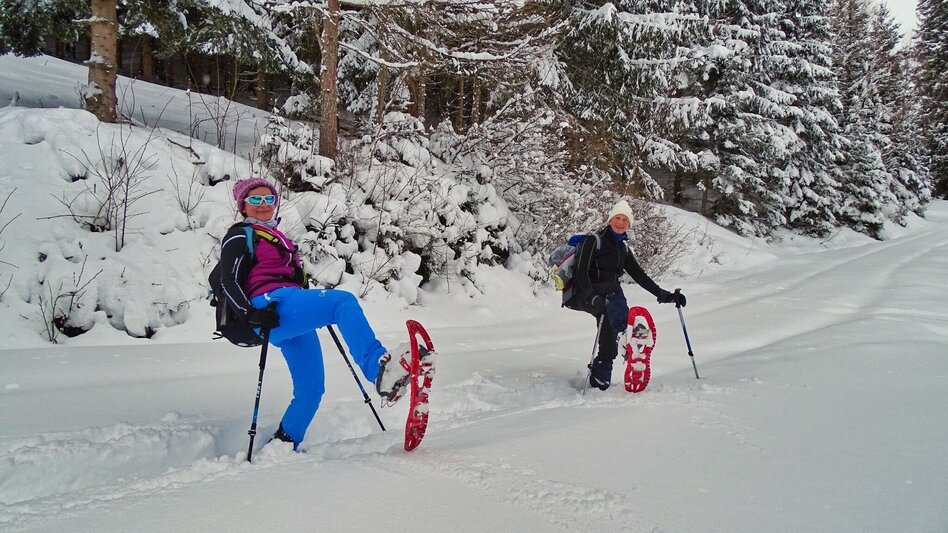 Schneeschuh Schneeschuhwanderung Habring - Touren-Impression #2.2 | © Weges OG
