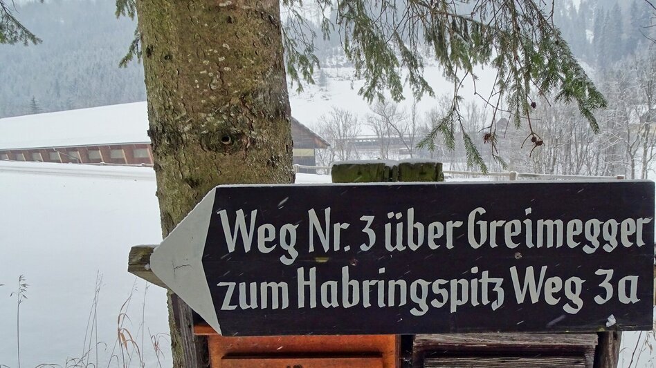 Schneeschuh Schneeschuhwanderung Habring - Touren-Impression #2.3 | © Weges OG