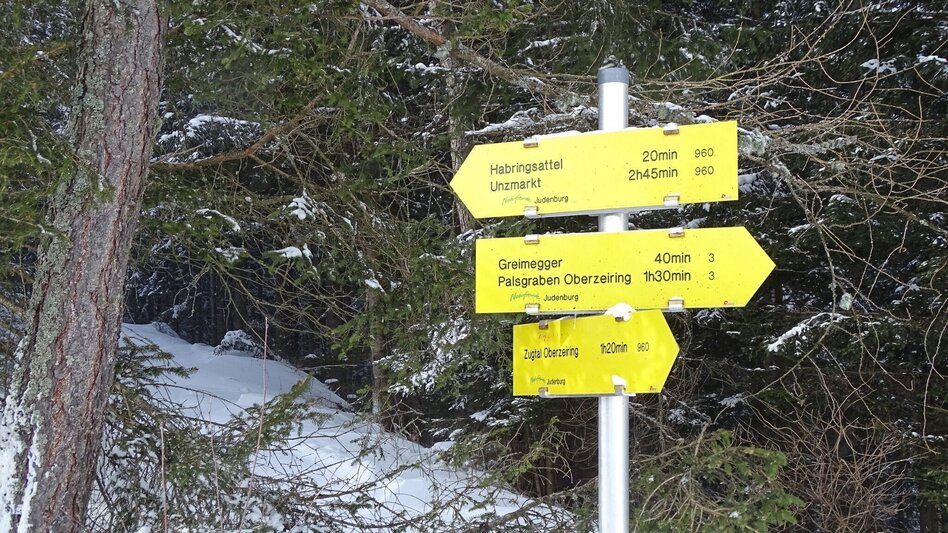 Schneeschuh Schneeschuhwanderung Habring - Touren-Impression #2.5 | © Weges OG