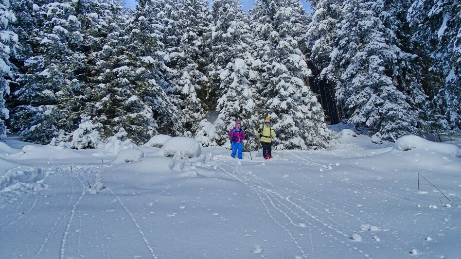 Schneeschuh Schneeschuhwanderung Habring - Touren-Impression #2.6 | © Weges OG