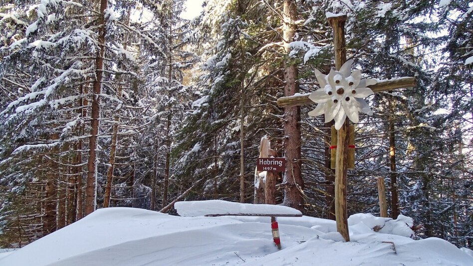 Schneeschuh Schneeschuhwanderung Habring - Touren-Impression #2.7 | © Weges OG