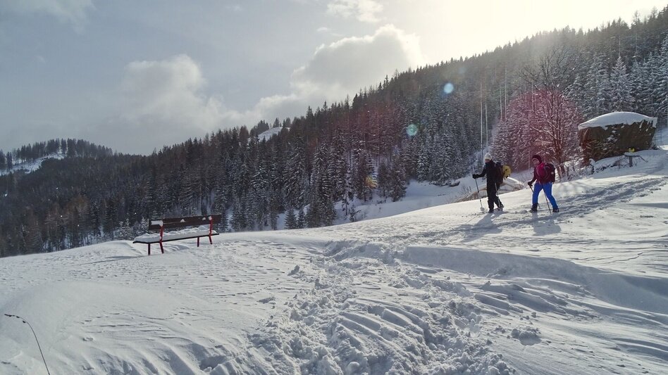 Schneeschuh Schneeschuhwanderung Habring - Touren-Impression #2.8 | © Weges OG