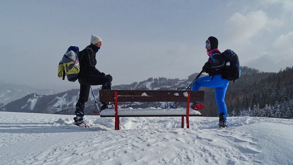 Schneeschuh Schneeschuhwanderung Habring - Touren-Impression #2.9 | © Weges OG