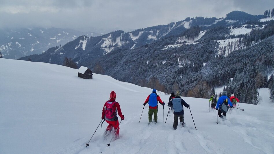 Schneeschuh Schneeschuhwanderung Habring - Touren-Impression #2.10 | © Weges OG
