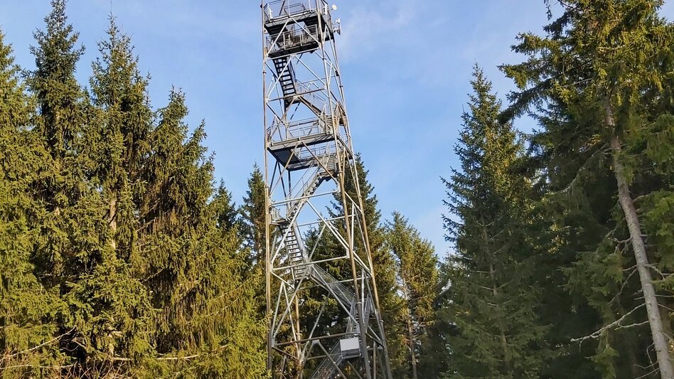 Wanderung Wanderung zum Wildwiesen-Aussichtsturm, Muhr Pöllauberg - Touren-Impression #2.3 | © Oststeiermark Tourismus