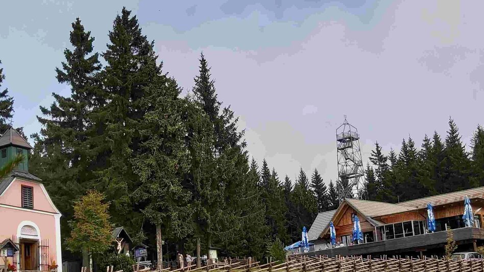 Wanderung Wanderung zum Wildwiesen-Aussichtsturm, Muhr Pöllauberg - Touren-Impression #2.5 | © TVB Oststeiermark