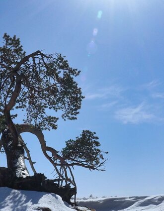 Winterstimmung beim Start | Weges OG | © Weges OG