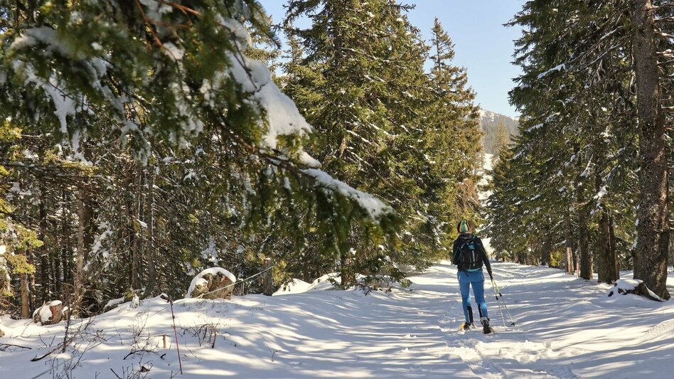 Schneeschuh Schneeschuhwanderung - vom Salzstiegelhaus auf den Rappoldkogel - Touren-Impression #2.2 | © Weges OG