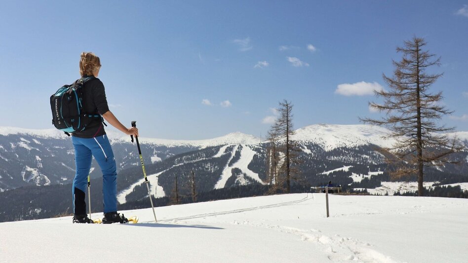 Schneeschuh Schneeschuhwanderung - vom Salzstiegelhaus auf den Rappoldkogel - Touren-Impression #2.5 | © Weges OG