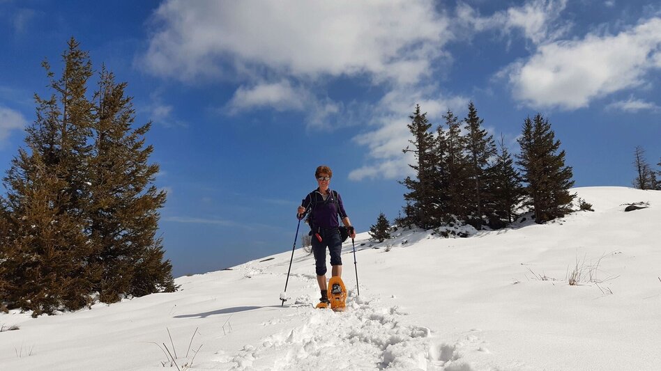 Schneeschuh Schneeschuhwanderung - vom Salzstiegelhaus auf den Rappoldkogel - Touren-Impression #2.7 | © Weges OG