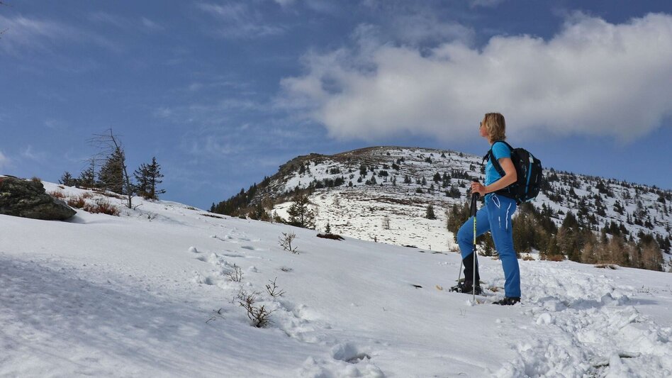 Schneeschuh Schneeschuhwanderung - vom Salzstiegelhaus auf den Rappoldkogel - Touren-Impression #2.8 | © Weges OG
