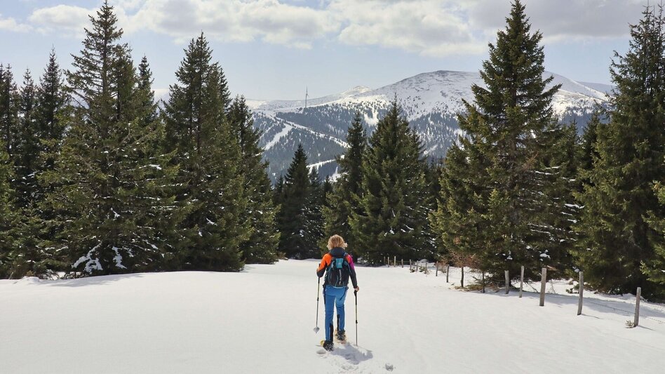Schneeschuh Schneeschuhwanderung - vom Salzstiegelhaus auf den Rappoldkogel - Touren-Impression #2.12 | © Weges OG