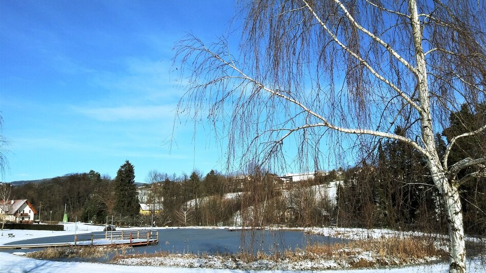 Winter Hiking Winter hiking on the Climate Future Trail in the Pöllauer Tal Nature Park - Touren-Impression #2.4 | © Oststeiermark Tourismus