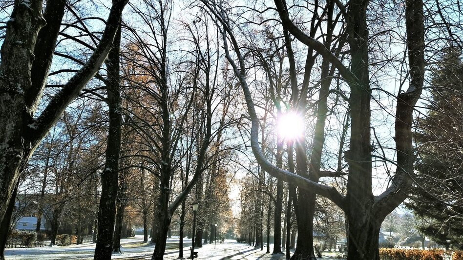 Winter Hiking Winter hiking on the Climate Future Trail in the Pöllauer Tal Nature Park - Touren-Impression #2.6 | © Oststeiermark Tourismus