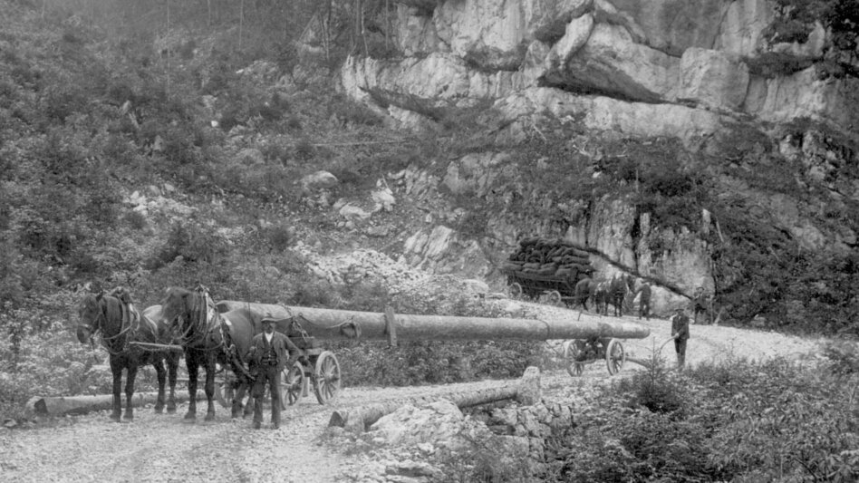 Hiking route Hartelsgraben - Touren-Impression #2.1 | © TV Gesäuse