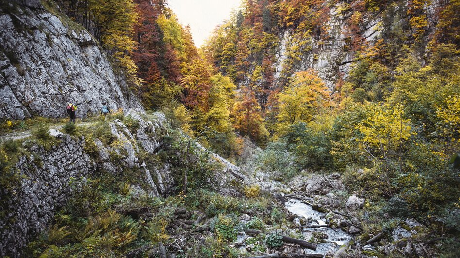 Hiking route Hartelsgraben - Touren-Impression #2.3 | © TV Gesäuse