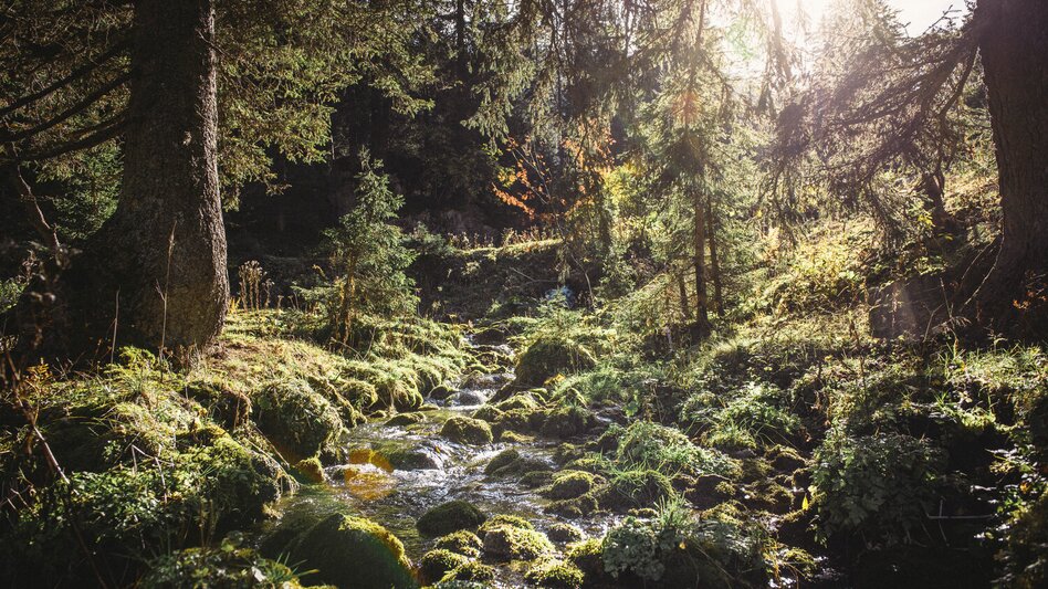 Hiking route Hartelsgraben - Touren-Impression #2.8 | © TV Gesäuse