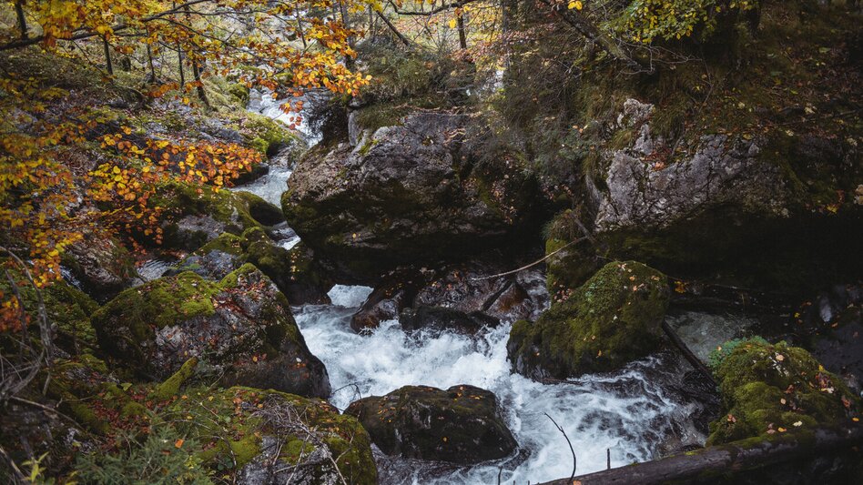 Hiking route Hartelsgraben - Touren-Impression #2.9 | © TV Gesäuse