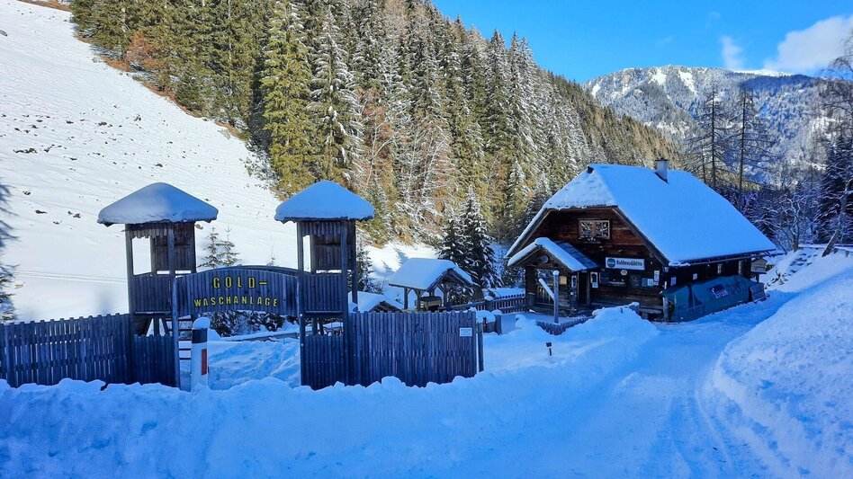 Snowshoe walking Snowshoe hike Wildalm - Touren-Impression #2.2 | © Weges OG