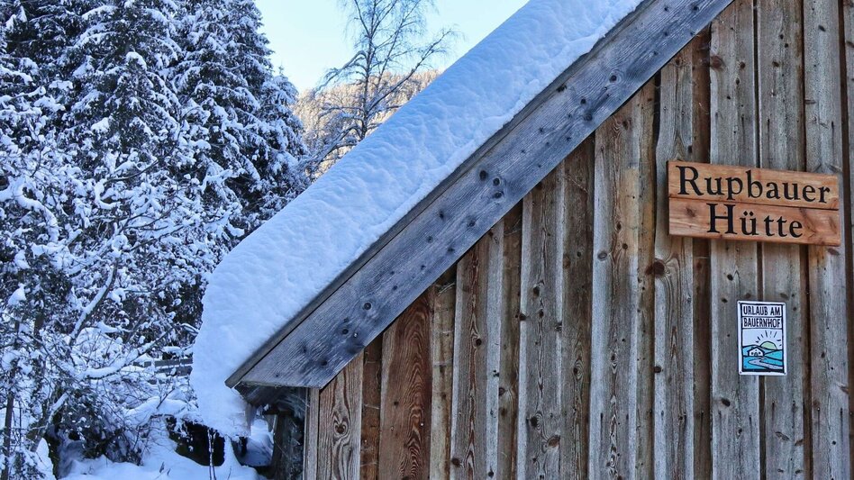 Snowshoe walking Snowshoe hike Wildalm - Touren-Impression #2.3 | © Weges OG