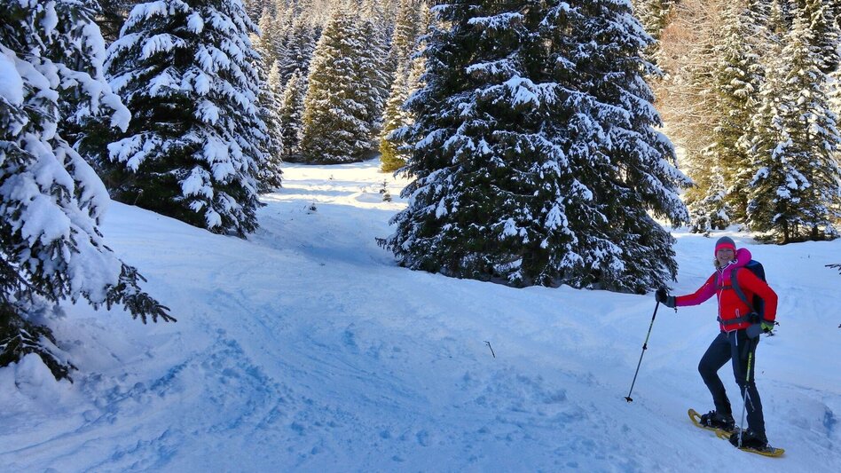 Snowshoe walking Snowshoe hike Wildalm - Touren-Impression #2.4 | © Weges OG