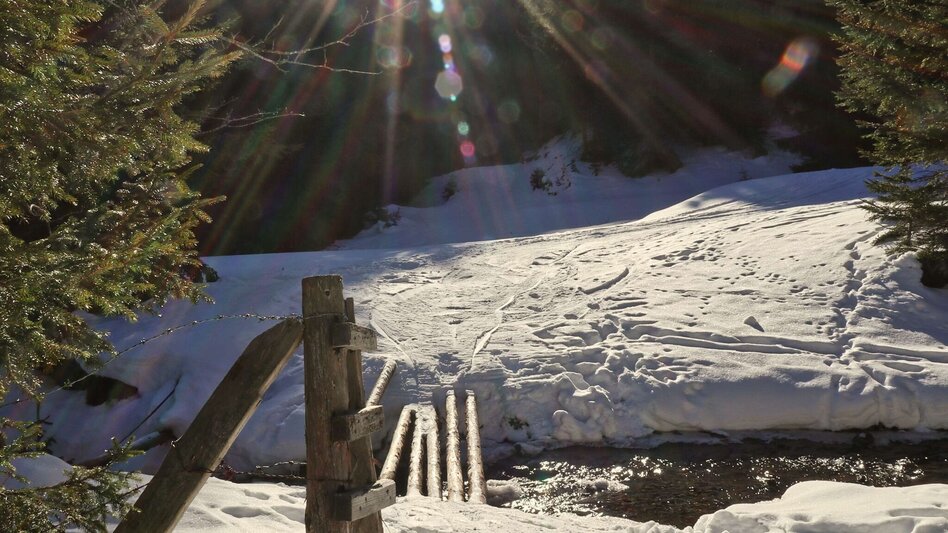 Snowshoe walking Snowshoe hike Wildalm - Touren-Impression #2.5 | © Weges OG