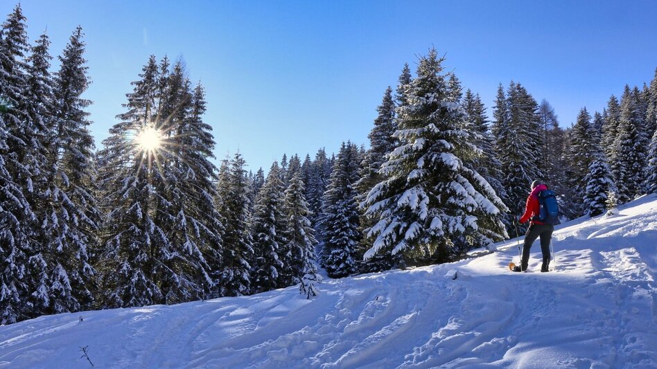 Snowshoe walking Snowshoe hike Wildalm - Touren-Impression #2.6 | © Weges OG