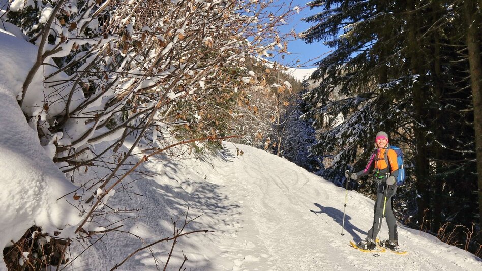 Snowshoe walking Snowshoe hike Wildalm - Touren-Impression #2.7 | © Weges OG