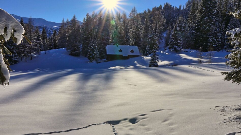 Snowshoe walking Snowshoe hike Wildalm - Touren-Impression #2.8 | © Weges OG