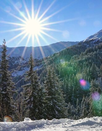 Wir genießen die Aussicht | Weges OG | © Weges OG