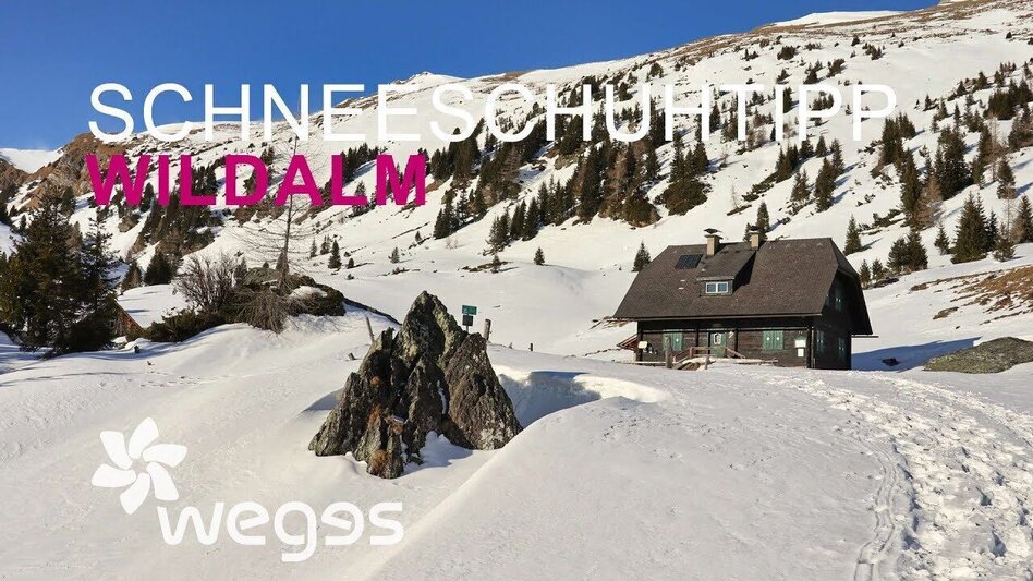 Snowshoe walking Snowshoe hike Wildalm - Touren-Impression #2.13 | © wegesaktiv