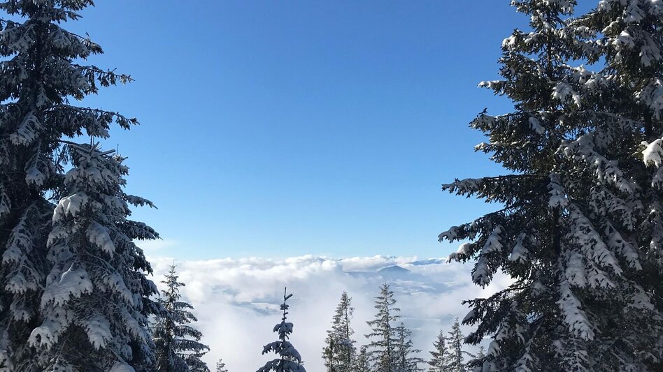 Winterwandern Patscha Winterwanderung - Touren-Impression #2.1 | © Oststeiermark Tourismus