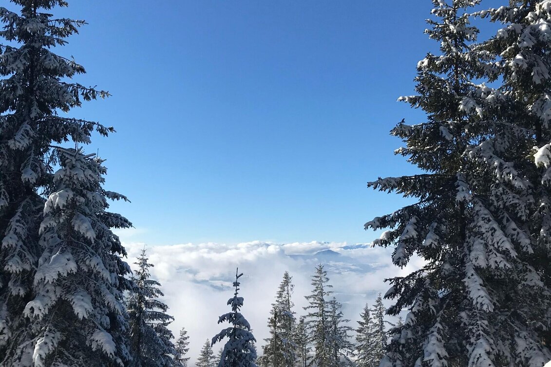Winterwandern Patscha Winterwanderung - Touren-Impression #1 | © Oststeiermark Tourismus
