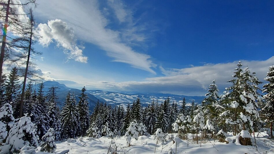 Winterwandern Patscha Winterwanderung - Touren-Impression #2.7 | © Oststeiermark Tourismus