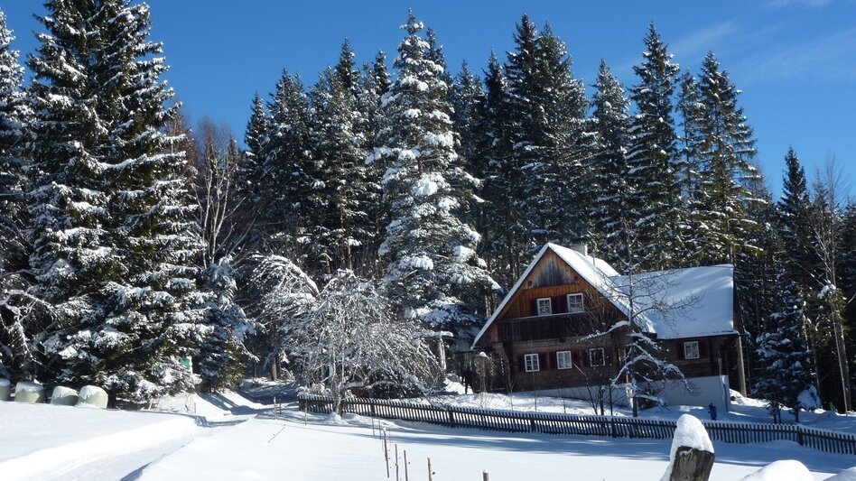 Ski-nordic-classic Langlaufloipe Soboth - Touren-Impression #2.1 | © Elfriede Roßmann