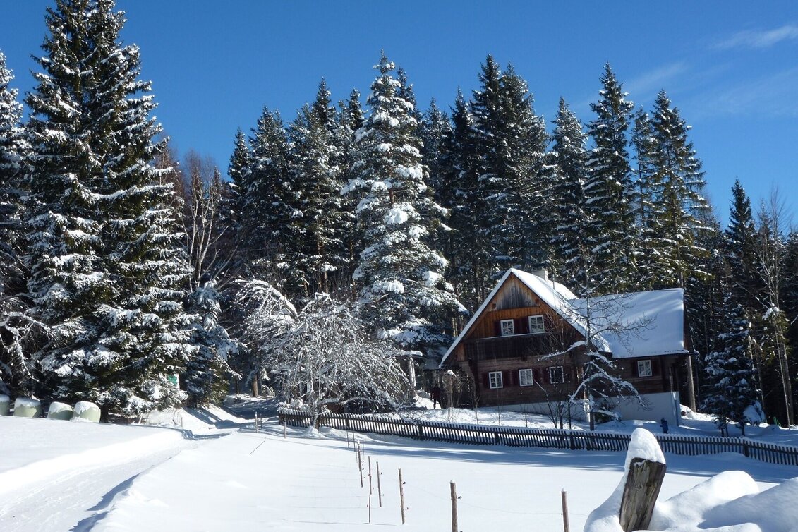 Ski-nordic-classic Langlaufloipe Soboth - Touren-Impression #1 | © Elfriede Roßmann