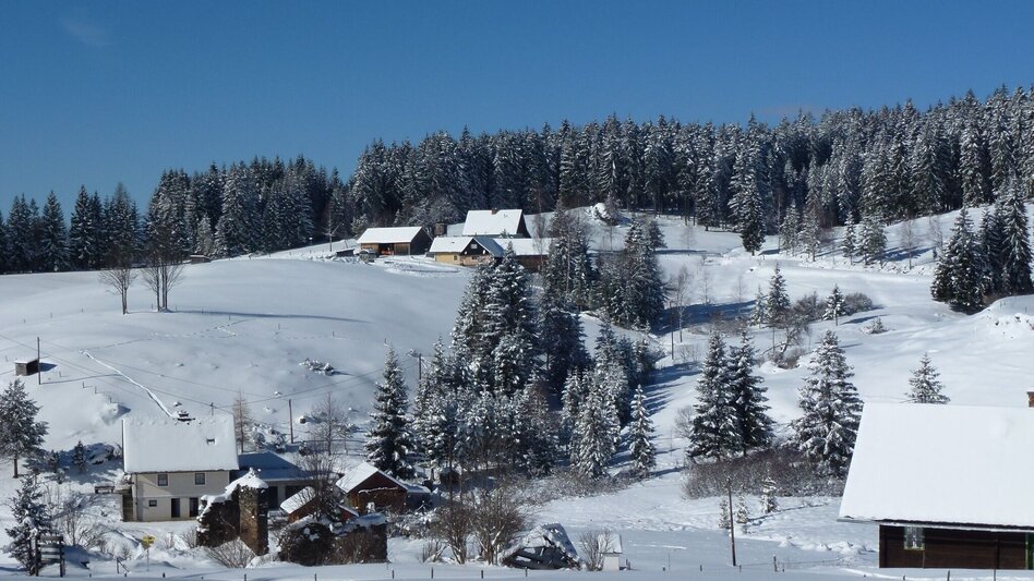 Ski-nordic-classic Langlaufloipe Soboth - Touren-Impression #2.5 | © Elfriede Roßmann