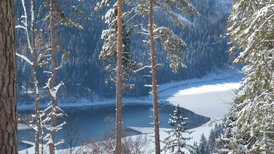 Ski-nordic-classic Langlaufloipe Soboth - Touren-Impression #2.6 | © Elfriede Roßmann