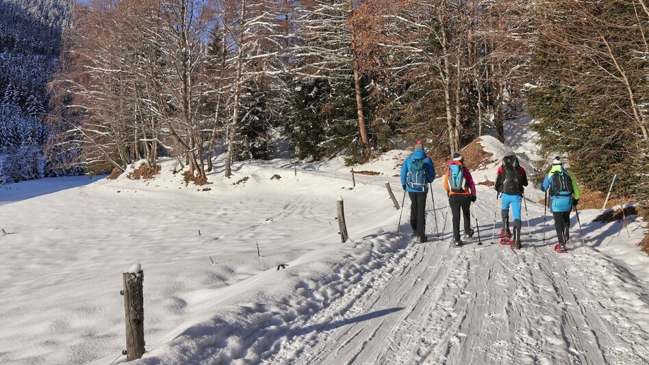 Snowshoe walking Snowshoe hike Rosenkogel - Touren-Impression #2.4 | © Weges OG